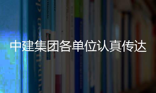 全会中建真传集团精神习党达学的二位认各单十届三中